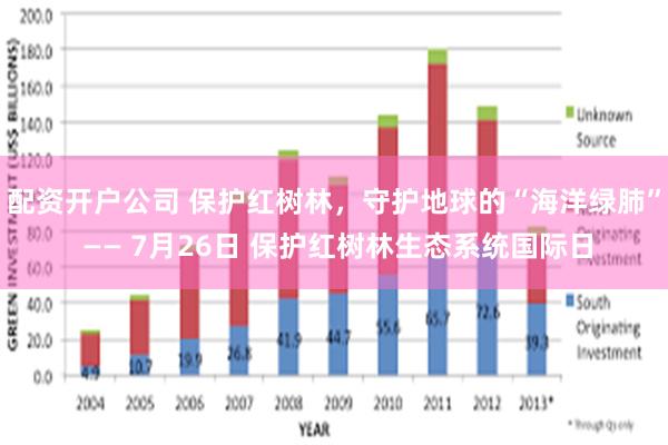 配资开户公司 保护红树林，守护地球的“海洋绿肺” —— 7月26日 保护红树林生态系统国际日