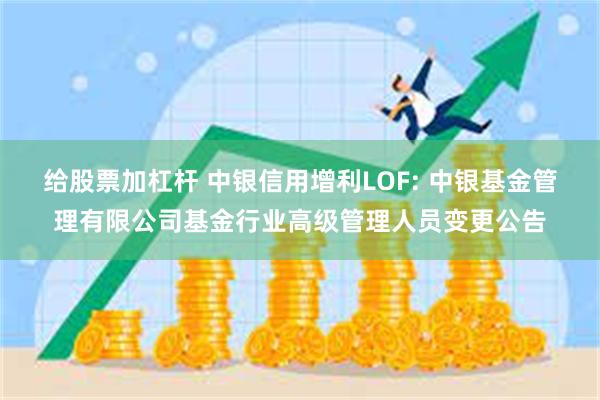 给股票加杠杆 中银信用增利LOF: 中银基金管理有限公司基金行业高级管理人员变更公告