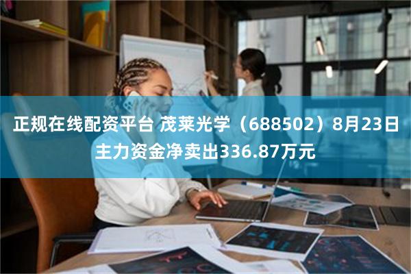 正规在线配资平台 茂莱光学（688502）8月23日主力资金净卖出336.87万元