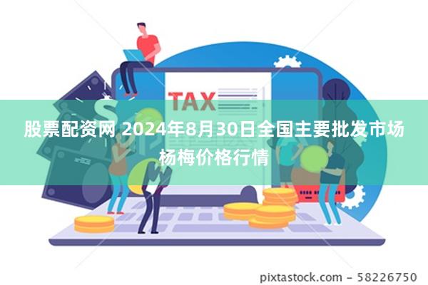 股票配资网 2024年8月30日全国主要批发市场杨梅价格行情