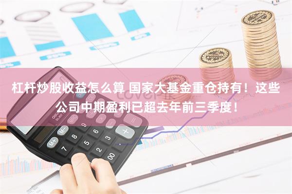 杠杆炒股收益怎么算 国家大基金重仓持有！这些公司中期盈利已超去年前三季度！