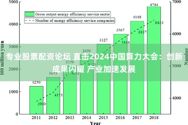 专业股票配资论坛 直击2024中国算力大会：创新成果闪耀 产业加速发展