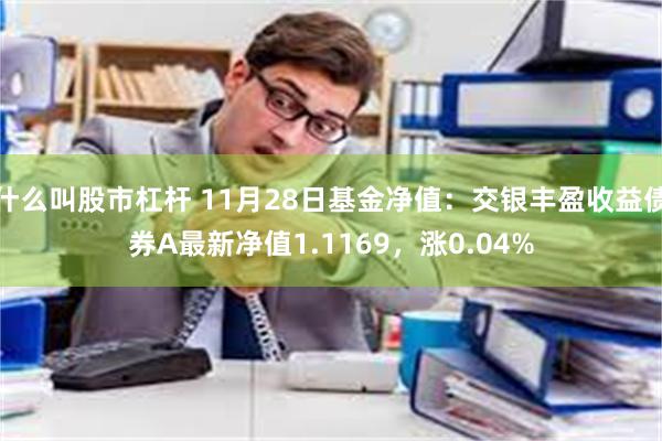 什么叫股市杠杆 11月28日基金净值：交银丰盈收益债券A最新净值1.1169，涨0.04%