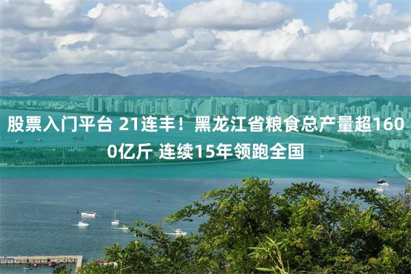 股票入门平台 21连丰！黑龙江省粮食总产量超1600亿斤 连续15年领跑全国