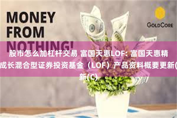 股市怎么加杠杆交易 富国天惠LOF: 富国天惠精选成长混合型证券投资基金（LOF）产品资料概要更新(C)